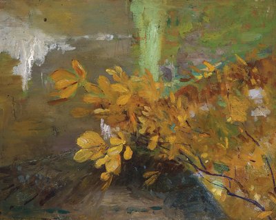 P1476, från av Emilie Mediz-Pelikan