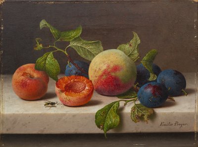 fruktstilleben av Emilie Preyer