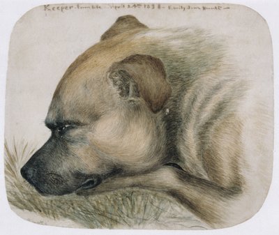 Keeper - from life, 1838 (penna och wc på papper) av Emily Bronte