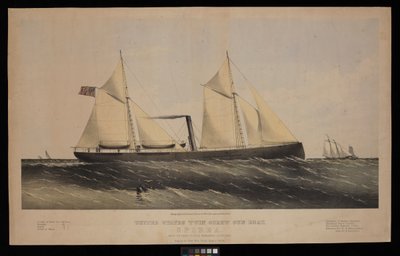 Amerikansk båt med två skruvkanoner. Spirea. Byggd av Saml H Pouk Fairhaven Conn. 1864... (litografi, färglagd) av Endicott Endicott