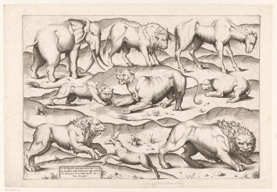 Nio vilda djur Djur efter antika väggmålningar (serietitel) Speculum Romanae Magnificentiae (serietitel) av Enea Vico (attributed to)