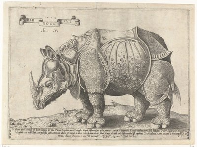 Neushoorn Noshörning (titel på objekt) av Enea Vico
