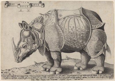 Noshörning av Enea Vico after Albrecht Dürer