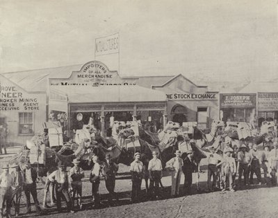 Ett kameltåg, Coolgardie, västra Australien av English Photographer