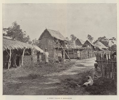 En skogsby på Madagaskar av English Photographer