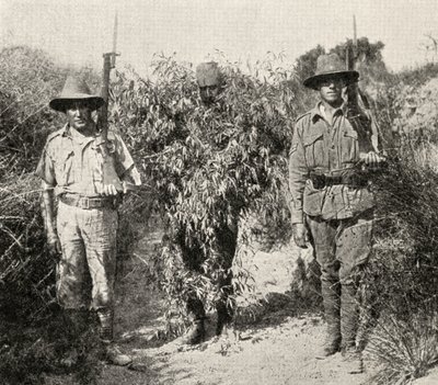 En turkisk krypskytt, förklädd till en buske, i förvar efter att ha tillfångatagits av ANZAC-trupper, från "The Great War: A History", volym III, 1916. av English Photographer