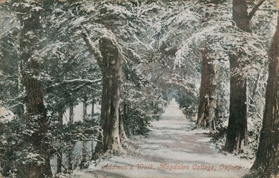 Addisons Walk, Magdalen College, Oxford. Vykort skickat 1913. av English Photographer