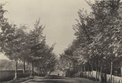 Aldeburgh, Westfields Avenue (s/v foto) av English Photographer