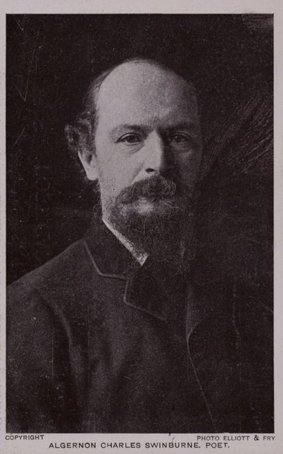 Algernon Charles Swinburne (1837-1909), engelsk poet och dramatiker av English Photographer