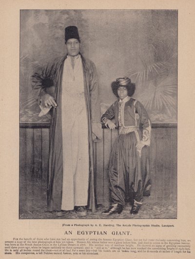 En egyptisk jätte (s/v foto) av English Photographer