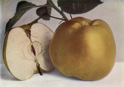 Apple, Lord Derby (färgfoto) av English Photographer