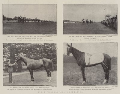 Ascot-vinnare och tvåa av English Photographer