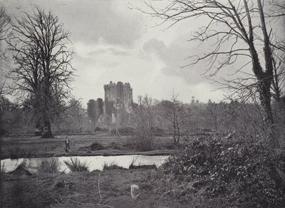Blarney slott av English Photographer