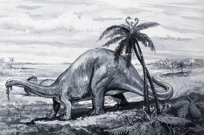 Brontosaurus av English Photographer