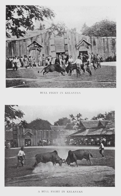 Tjurfäktning i Kelantan (s/v foto) av English Photographer