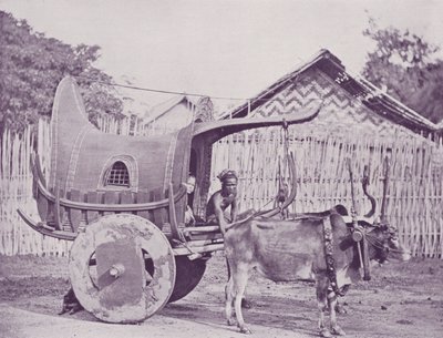 Burmesisk vagn och par av English Photographer