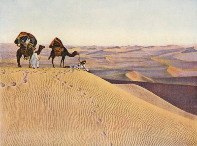 Kameler i Sahara (foto i färg) av English Photographer