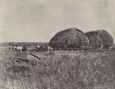 Canning Downs Station av English Photographer