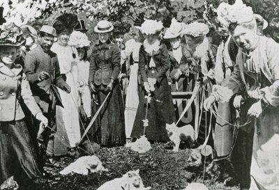 Kattutställning på Royal Botanic Gardens, Westminster, 1900 av English Photographer