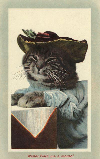 Katt som bär hatt (färgfoto) av English Photographer
