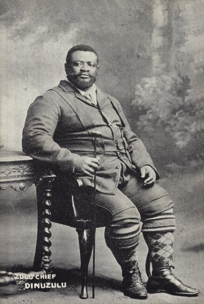 Cetshwayo kaMpande, kung av Zulu-nationen av English Photographer