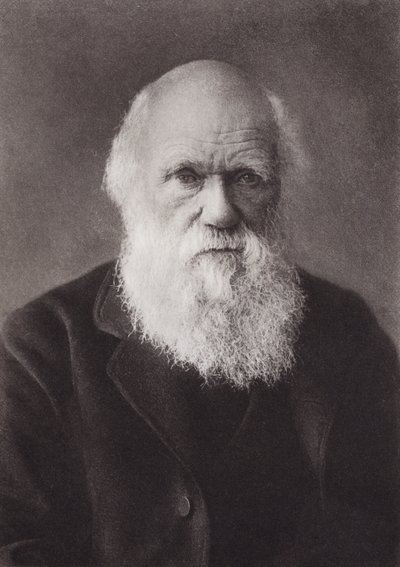 Charles Darwin, porträtt, c 1880 (s/v foto) av English Photographer