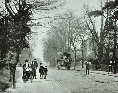 Crouch End Hill, Crouch End, 1894 av English Photographer