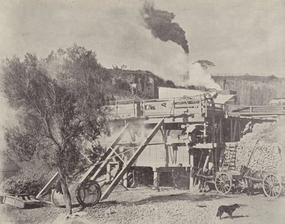 Crushing Stone, Kiama Quarries, New South Wales av English Photographer