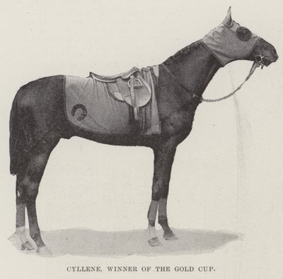 Cyllene, vinnare av Gold Cup av English Photographer