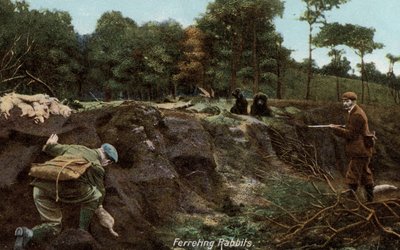 Iller för kaniner på landsbygden av English Photographer
