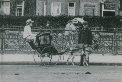 Getdragen transport av English Photographer