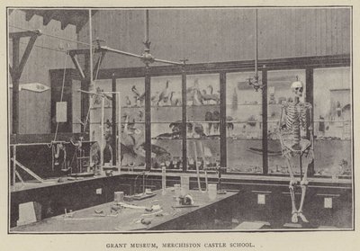 Grant Museum, Merchiston Castle School (gravyr) av English Photographer