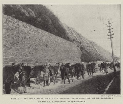 Hästar från 79th Battery Royal Field Artillery utövas innan de går ombord på SS Montford i Queenstown av English Photographer