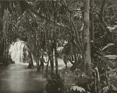 Jamaica: Blue Pool-Roaring River, St Anns (svartvitt foto) av English Photographer
