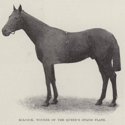 Kilcock, vinnare av Queens Stand Plate av English Photographer