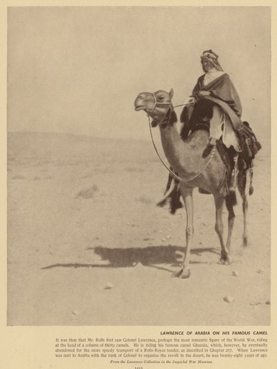 Lawrence av Arabien på denna berömda kamel (svartvitt foto) av English Photographer