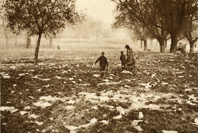 Skräpbelagt gräs på Hampstead Heath dagen efter en helgdag, från Wonderful London, publicerad 1926-27 (fotogravyr) av English Photographer