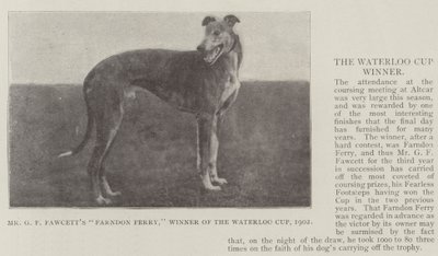 Mr GF Fawcetts Farndon Ferry, vinnare av Waterloo Cup, 1902 av English Photographer