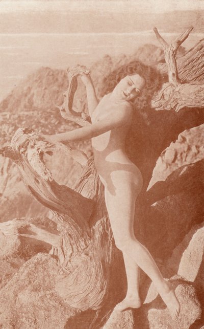 Nudistkonst: The Shadow (svartvitt foto) av English Photographer