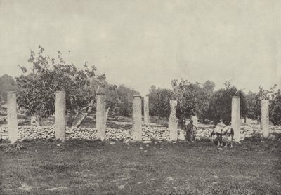 Herodes palats, Samaria, Resterna av palatset, byggt av Herodes för att hedra Augustus av English Photographer