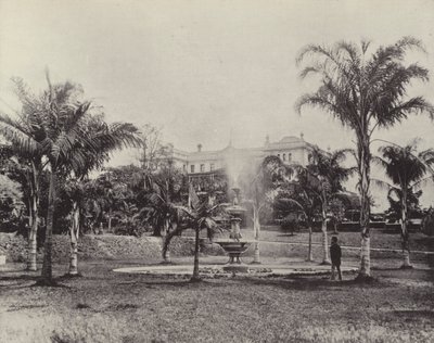 Palmer och fontän, botaniska trädgårdar, Brisbane av English Photographer