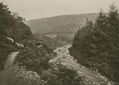 Stig vid Bagworthy Water, Doone Valley av English Photographer