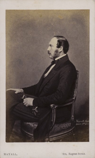 Prins Albert (sepiafoto) av English Photographer