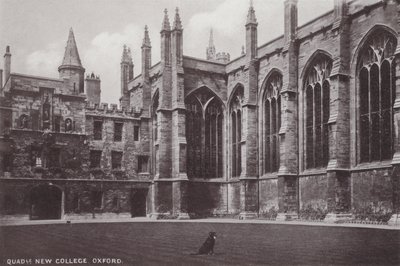 Quadrangle New College, Oxford av English Photographer