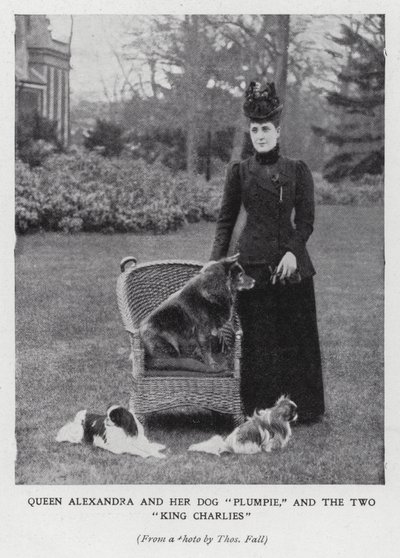 Drottning Alexandra med sin hund, Plumpie, och sina två King Charles spaniels (s/v foto) av English Photographer