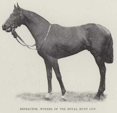 Refractor, vinnare av Royal Hunt Cup av English Photographer