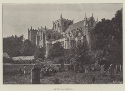 Ripon katedral av English Photographer