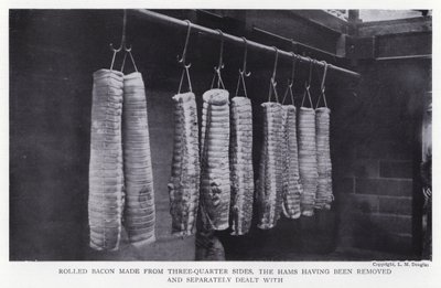 Rullat bacon gjort från trekvartssidor, skinkorna har tagits bort och behandlats separat (s/v foto) av English Photographer