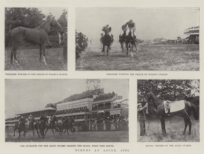 Scener vid Ascot, 1901 av English Photographer
