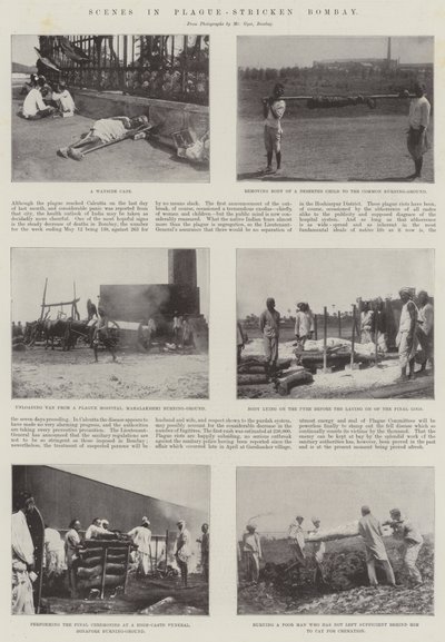 Scener i pestdrabbade Bombay av English Photographer